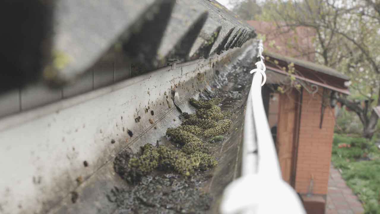Can help maintain a healthy exterior for your home