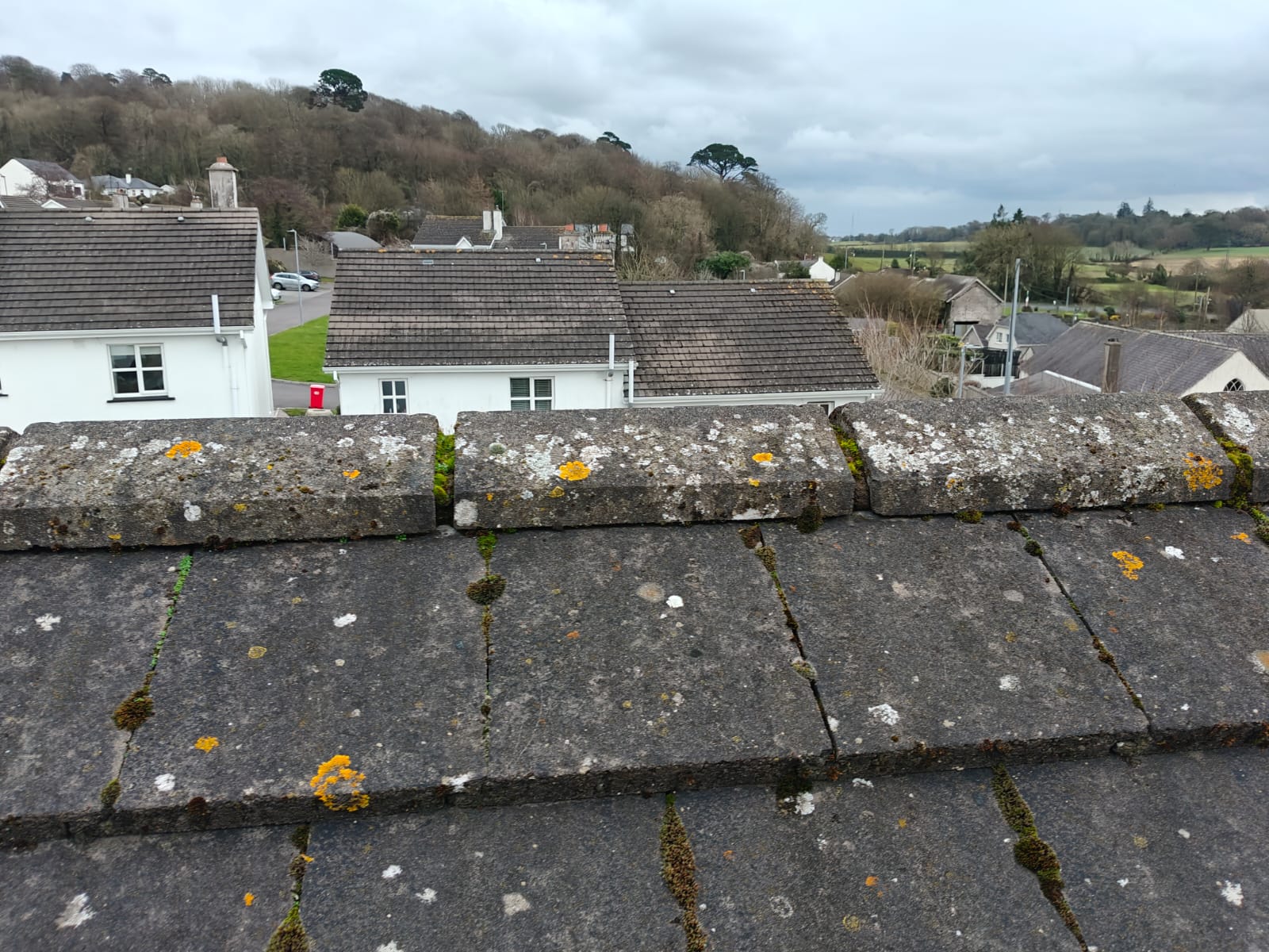 Specialist Roof Repairs for Period Properties